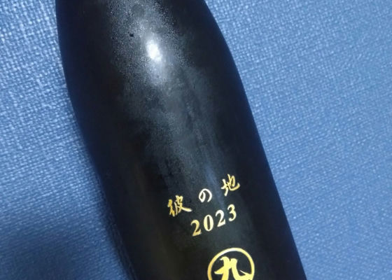 alt 1