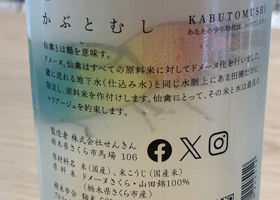 alt 3