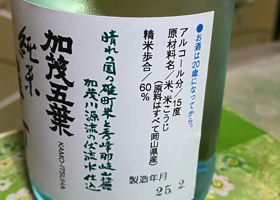 alt 2