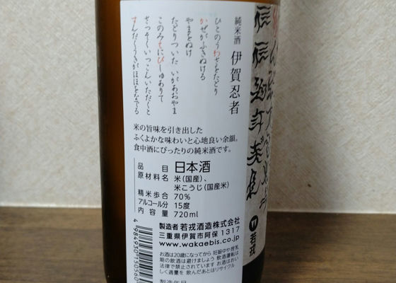 alt 1