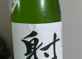 alt 1