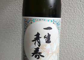 alt 2