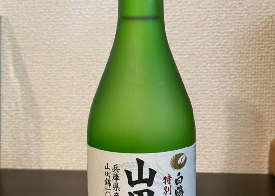 alt 1