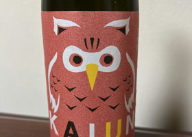 alt 1