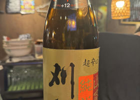 alt 1