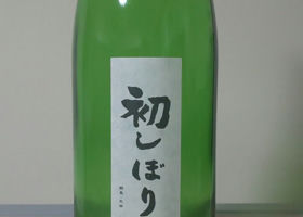 alt 1
