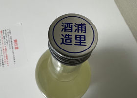 alt 3