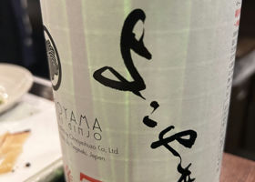 alt 1