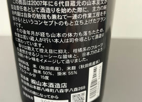 alt 2