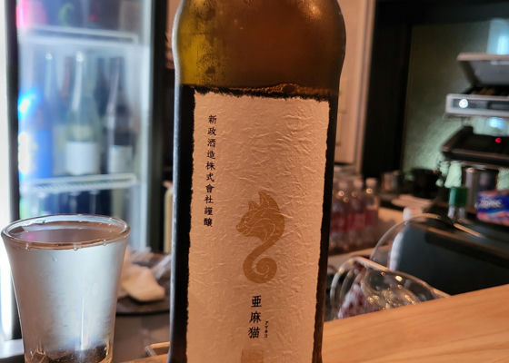 新政