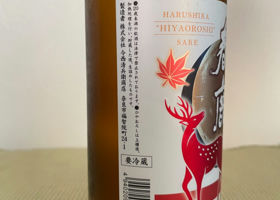 Harushika Check-in 2