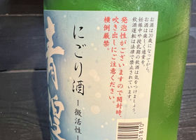 alt 3