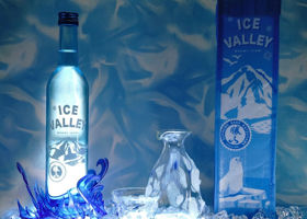 勝山 ICE VALLEY チェックイン 1
