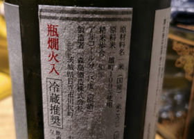 alt 1