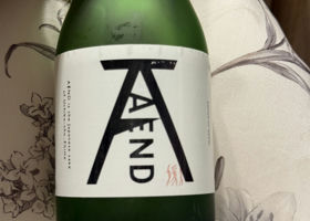 alt 1