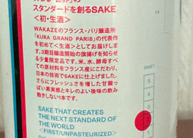 WAKAZE チェックイン 4