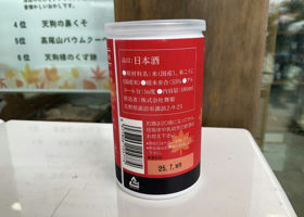 alt 3