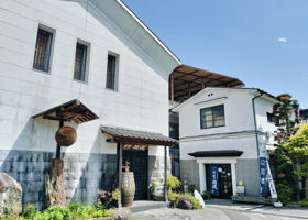 alt 3