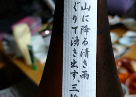 alt 3