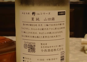 alt 3