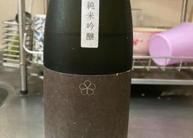 alt 1