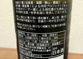 alt 3