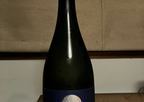 alt 1