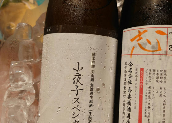 alt 1