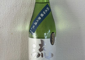 alt 3