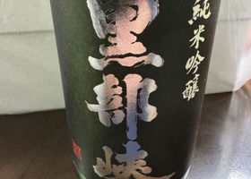 alt 1
