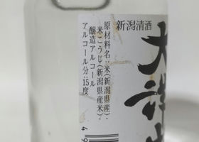 alt 3
