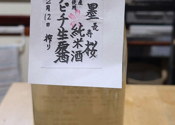 淡墨桜