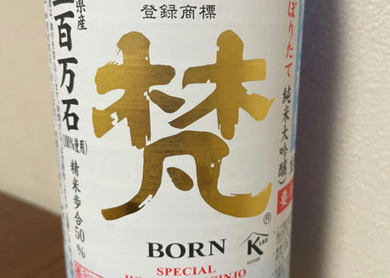 Born 签到 1