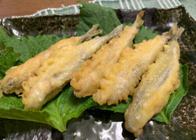 alt 3