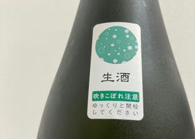 alt 2