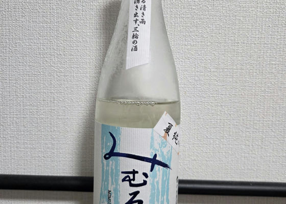 alt 1
