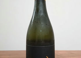 alt 1