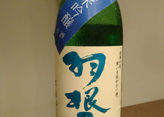 alt 1