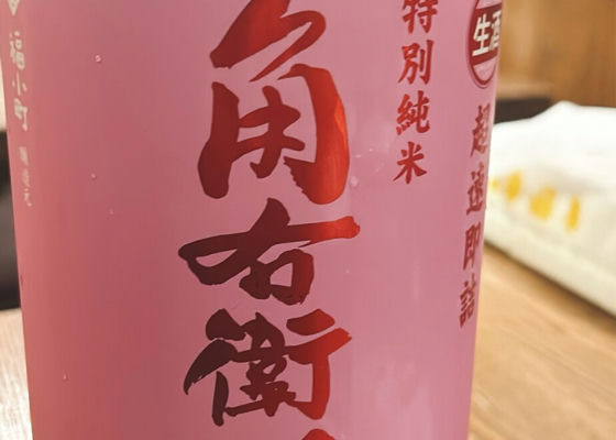 alt 1