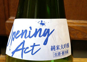 alt 3