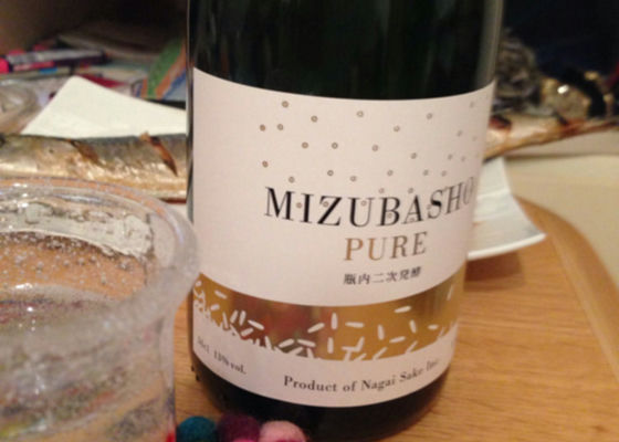 Mizubasho Check-in 1