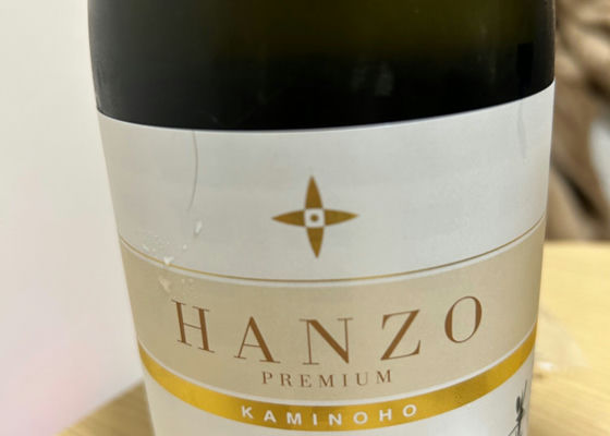 Hanzo Check-in 1