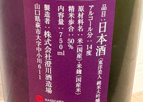東洋美人 チェックイン 2