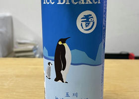 alt 1