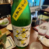 Ryoga 3