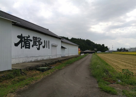 楯野川