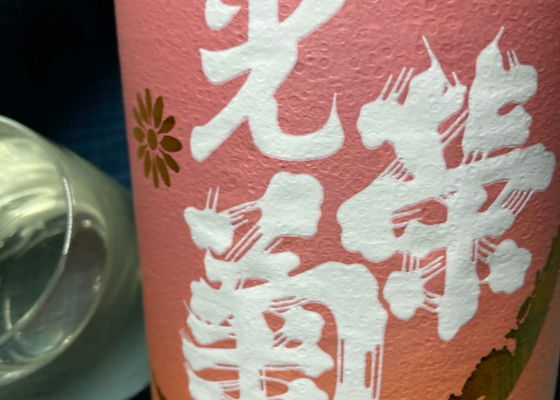 光栄菊