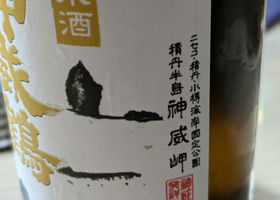 alt 2