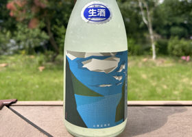 alt 1