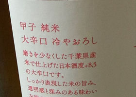 甲子 チェックイン 3